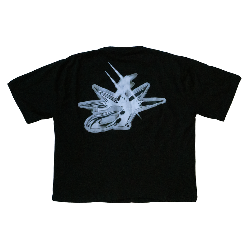 Silver Graphic T-shirt